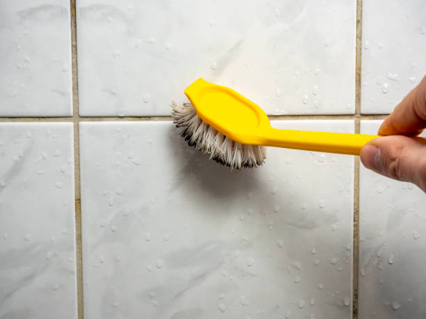 Best Black Mold Removal  in Homedale, ID