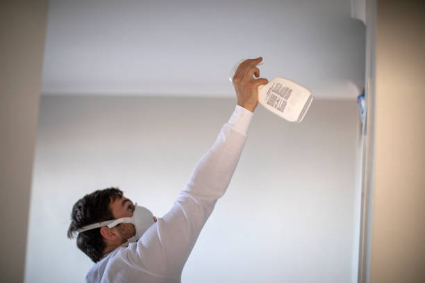 Best Toxic Mold Removal  in Homedale, ID