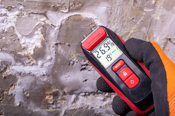 Best Emergency Mold Removal  in Homedale, ID