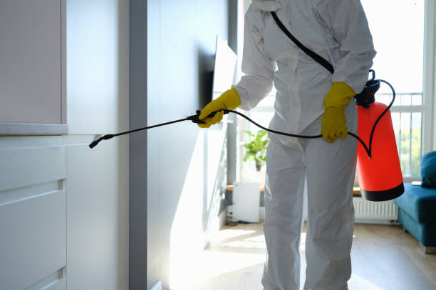 Water Damage Restoration in Homedale, ID