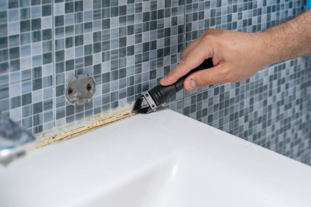 Mold Removal and Inspection in Homedale, ID