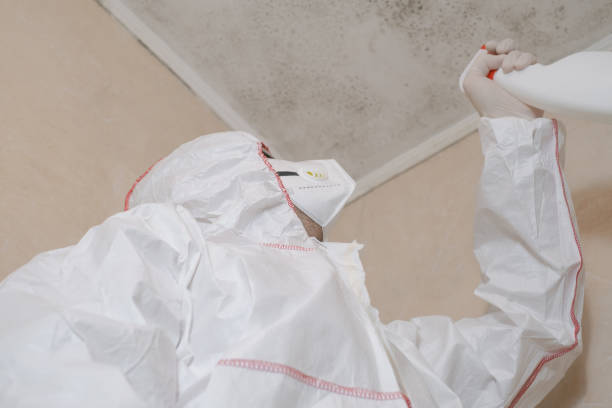 Best Office Mold Removal Services  in Homedale, ID
